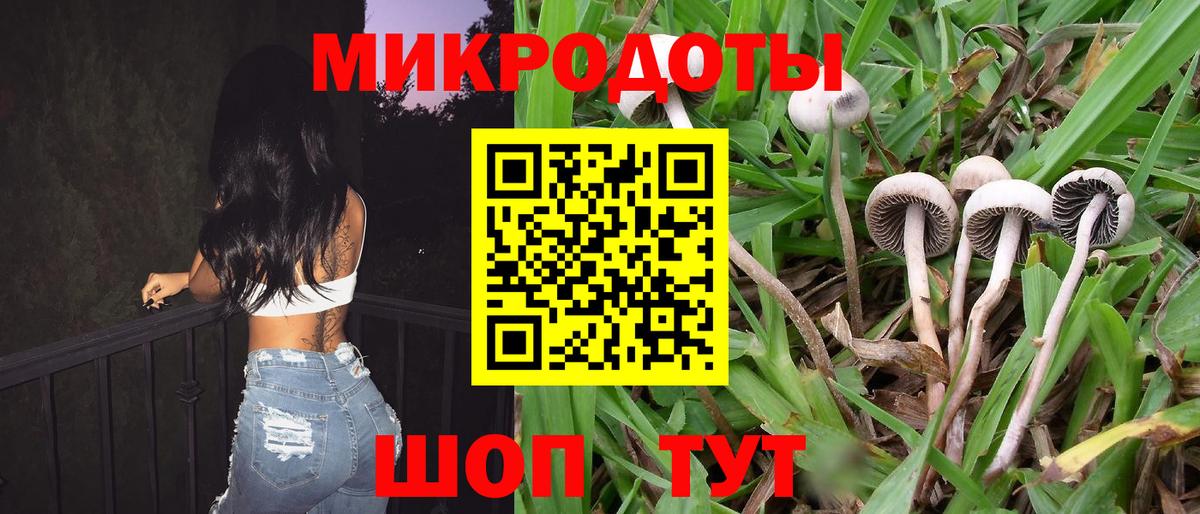 Алапаевск  Галлюциногенные грибы мухоморы  Вход с VPN 