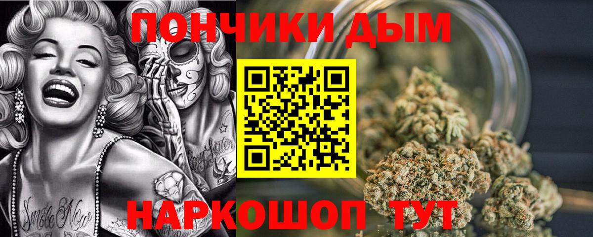 Шишки марихуана план  Бошки Шишки OG Kush  Марихуана семена  Алапаевск  Вход с VPN 